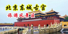 美女超逼又骚又爽网站中国北京-东城古宫旅游风景区